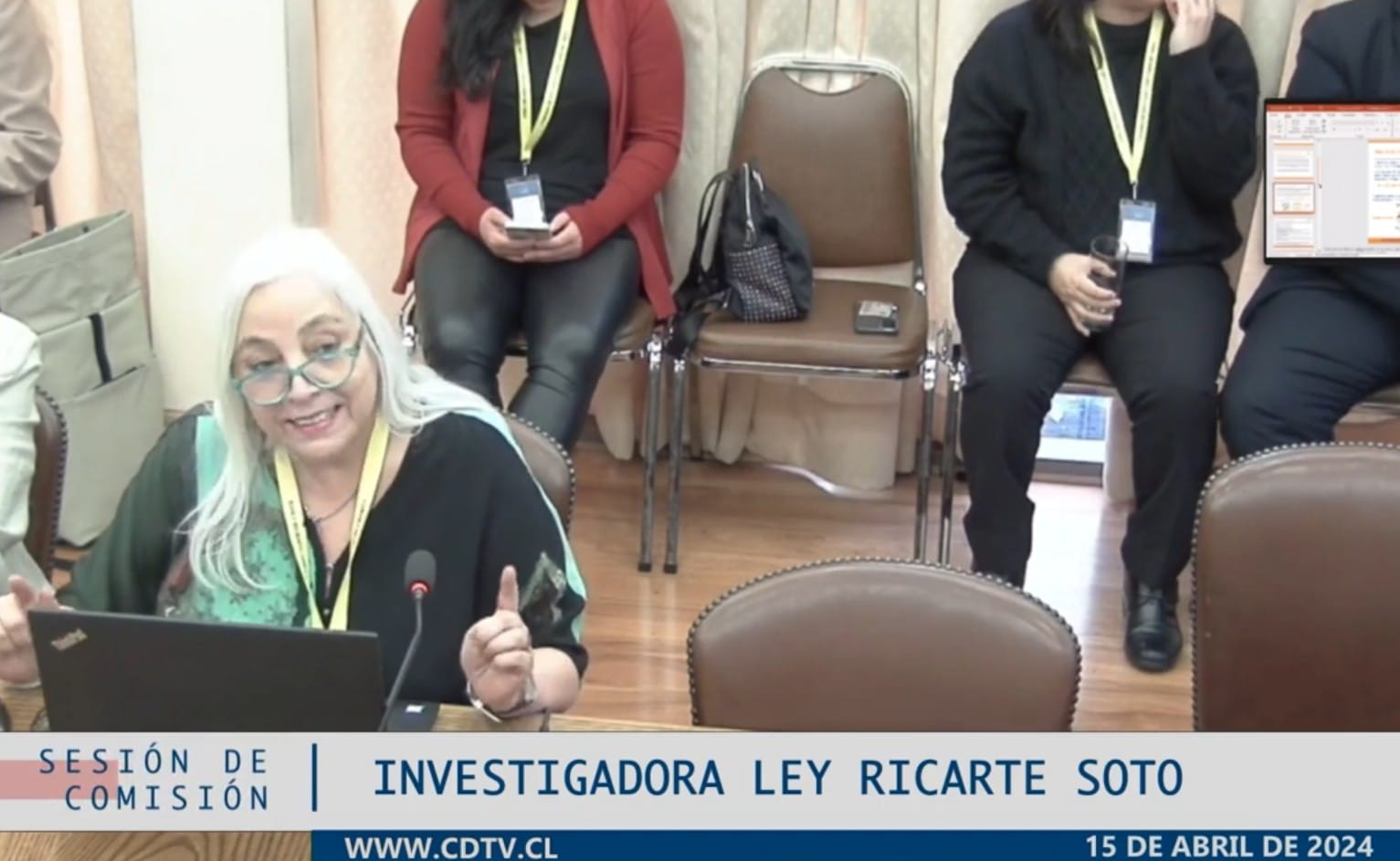 intervención de presidenta de CORPEM en comisión investigadora Ley Ricarte Soto